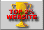TOP 2% WEBSITE